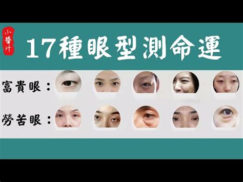 眼睛上吊面相|上吊眼的人最適合做…